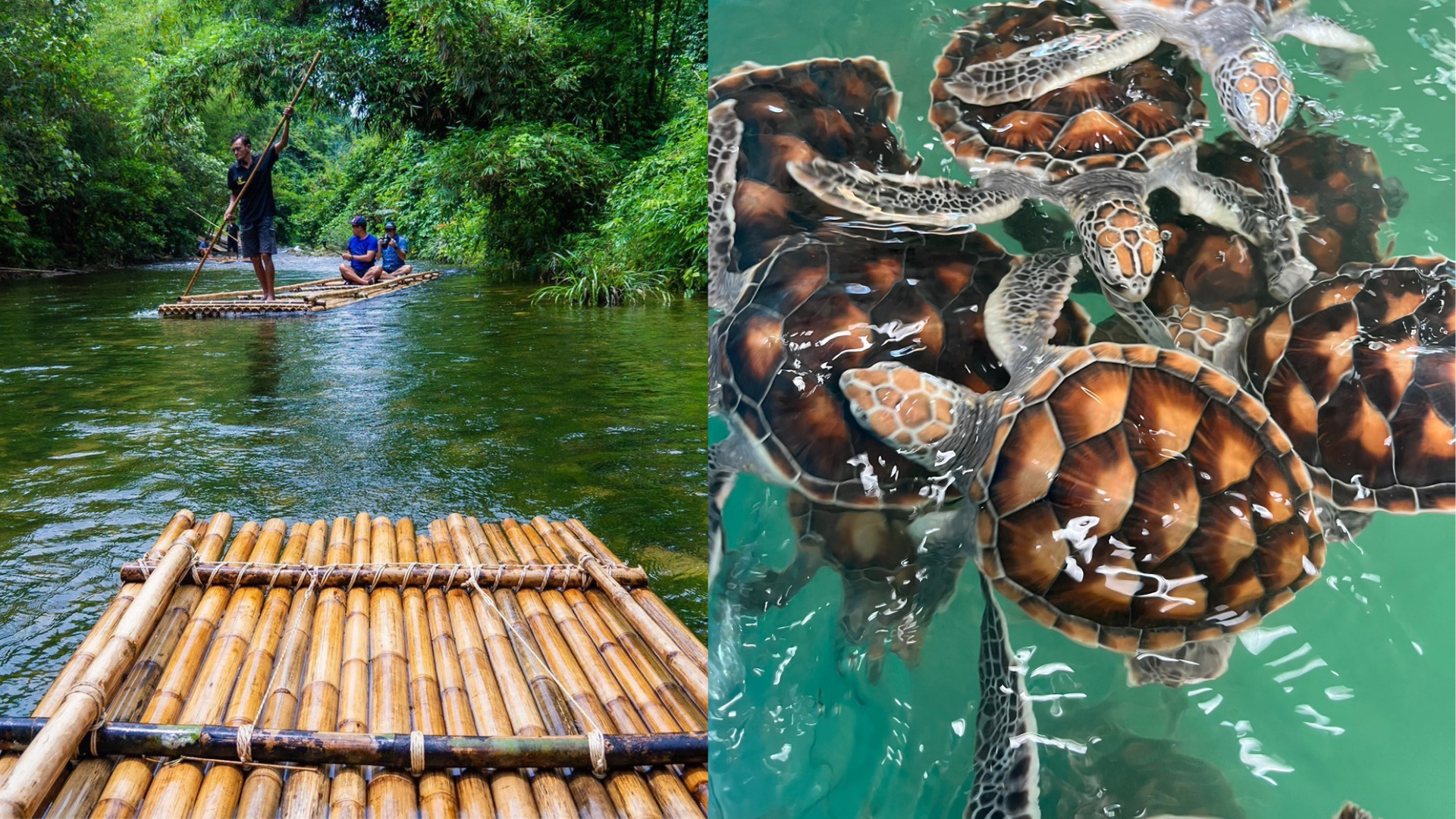 Sea Turtles Rafting