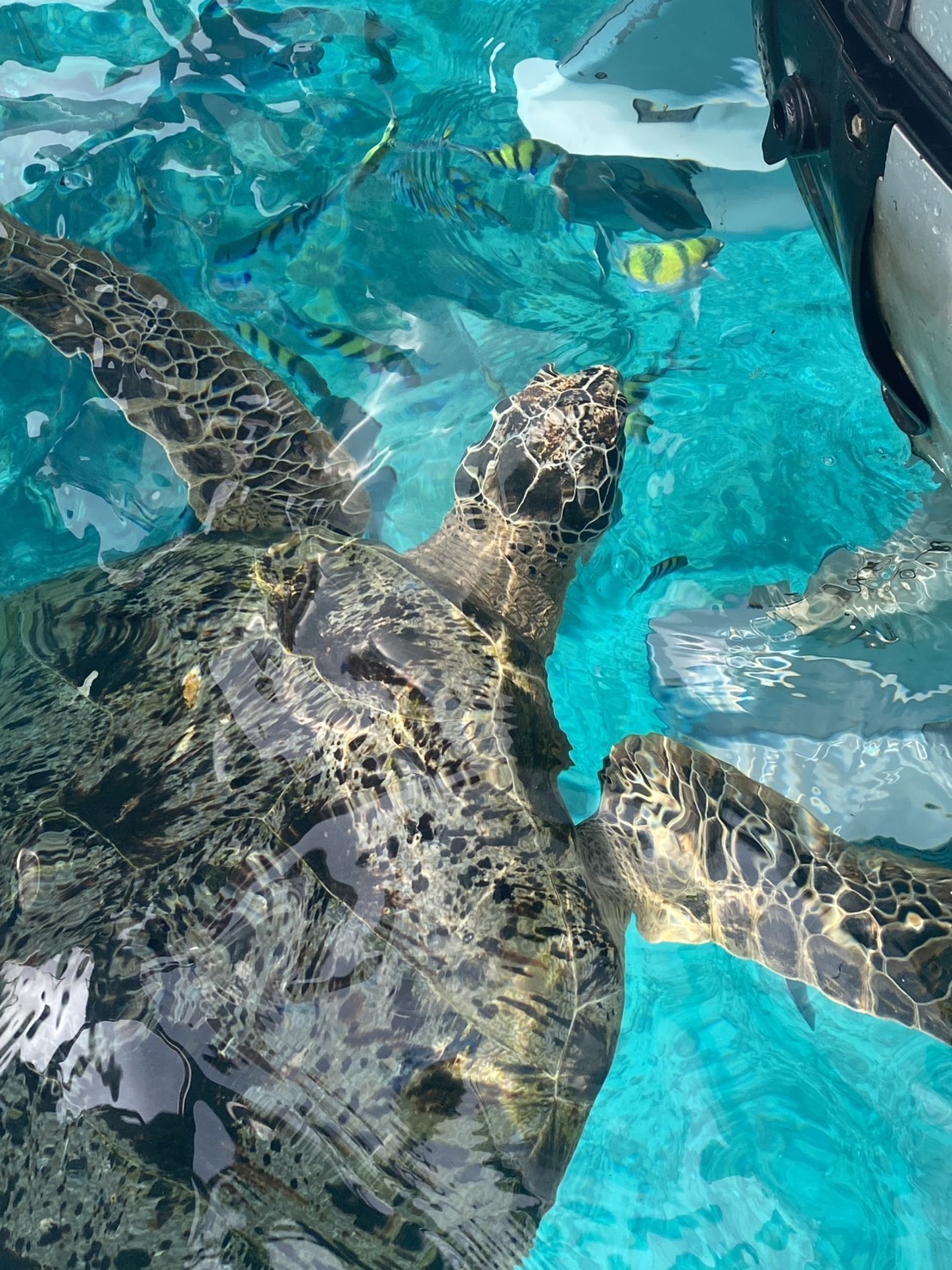 Underwater World