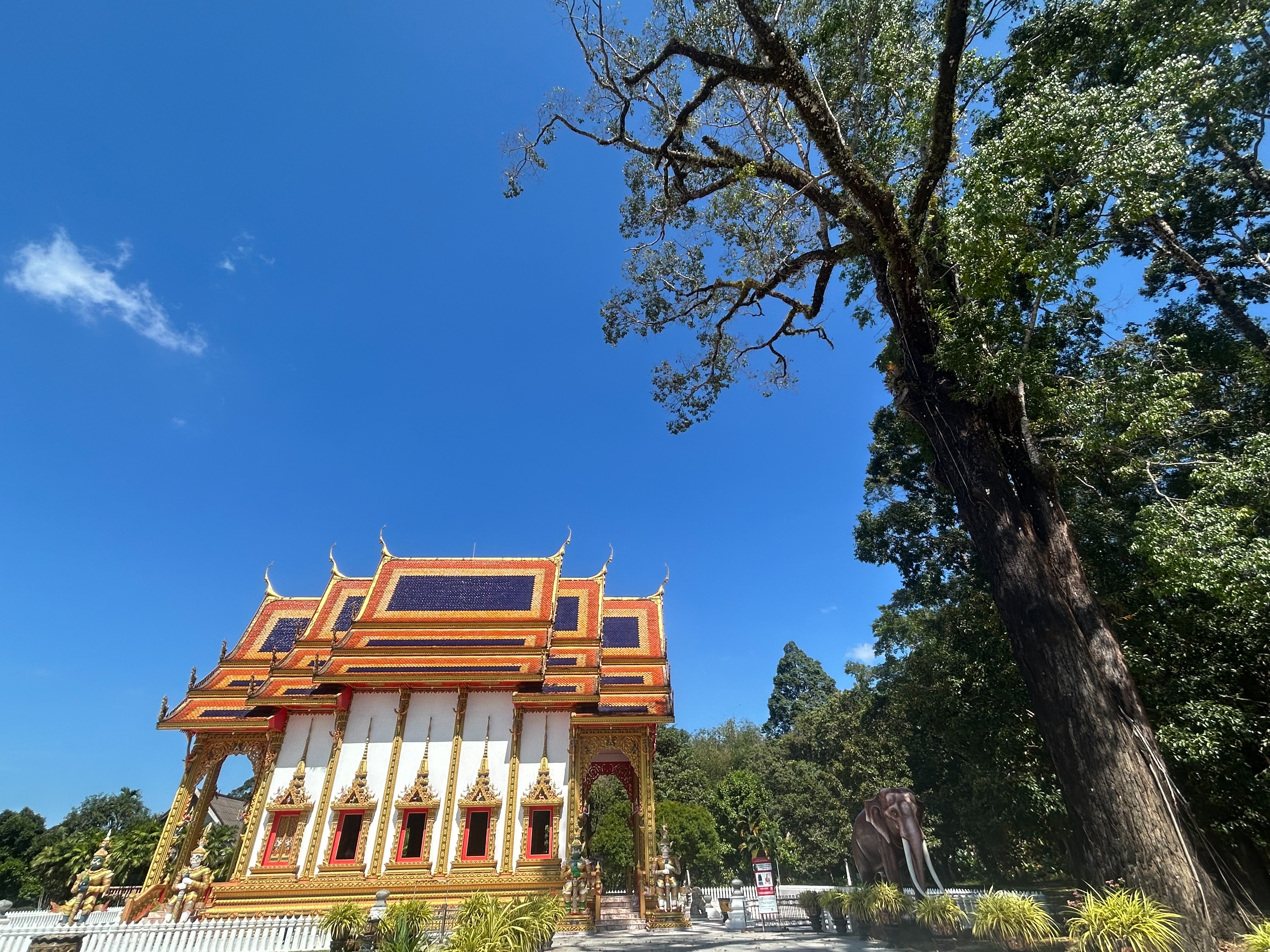 Temple Culture