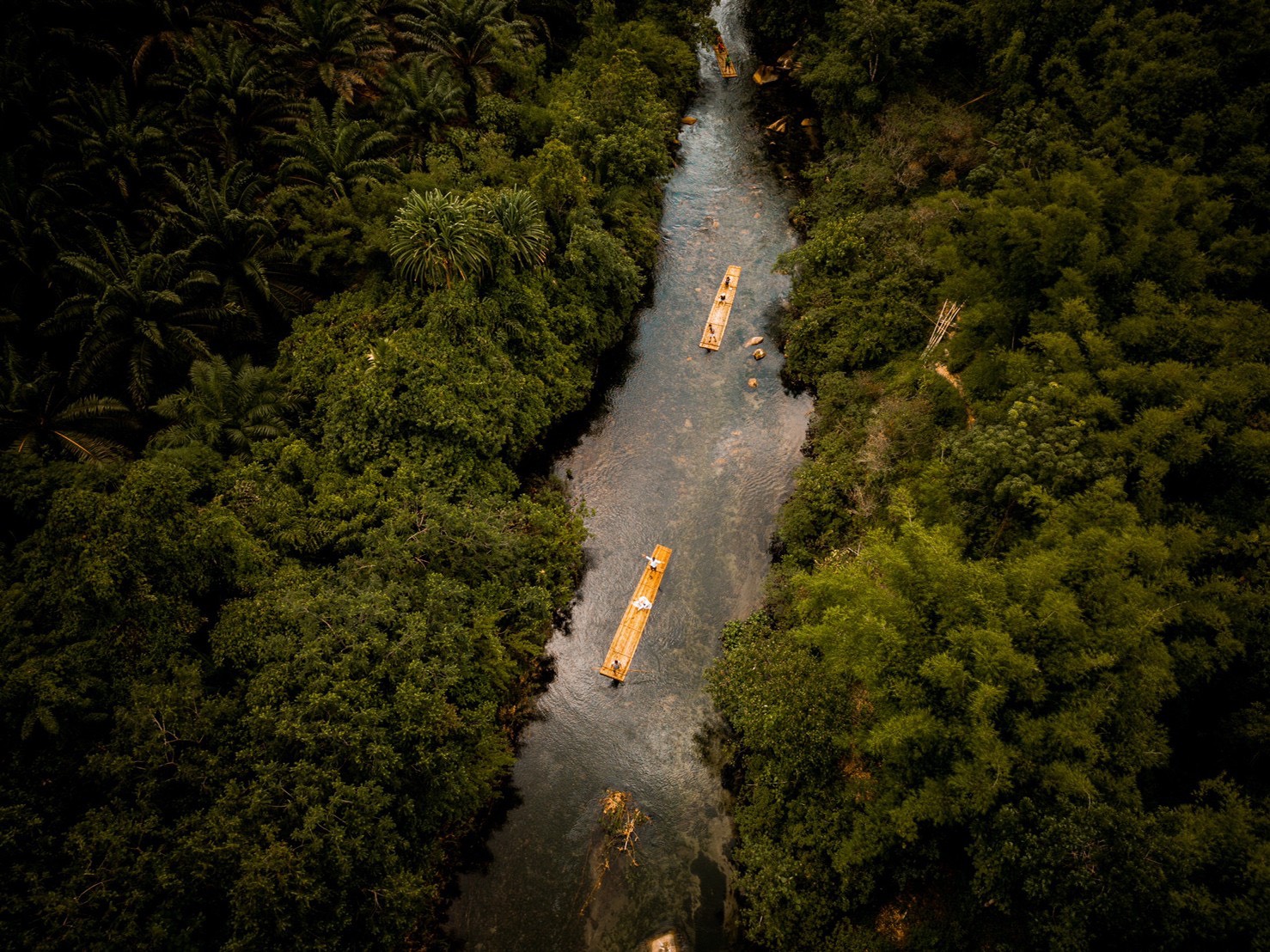 Bamboo Rafting