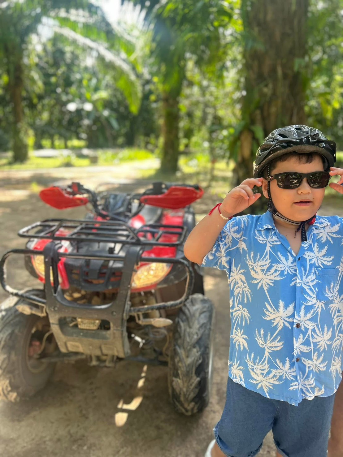 ATV Zipline
