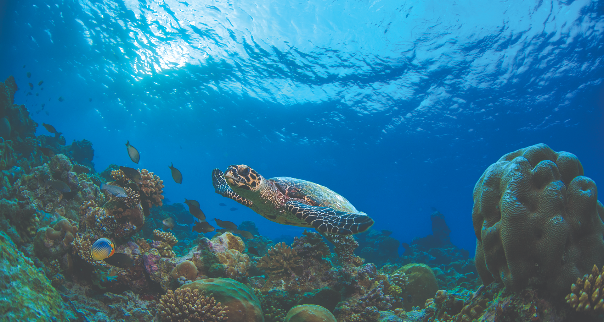 Underwater World